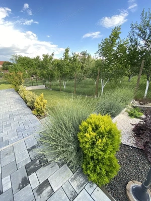 360 IMOBILIARE pune în vânzare o vilă superbă în Giarmata - imagine 4