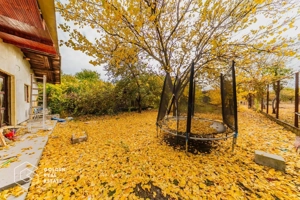 Casa ideala pt familie numeroasa sau spatiu de birouri, teren 908 mp, Gai - imagine 19