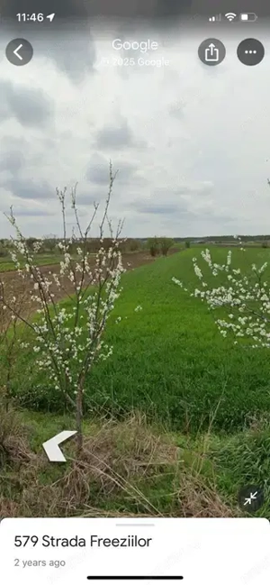 Teren Intravilan Gradistea Giurgiu
