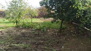 Vânzare teren intravilan Tariceni - imagine 7