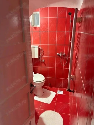 Casa singur in curte in Orasul de Jos - imagine 6