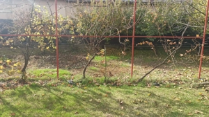 Vânzare teren intravilan Tariceni - imagine 5