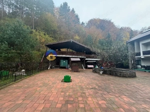 Casa cu posibilitate transformare in pensiune si teren de vanzare Piatra Neamt  - imagine 9