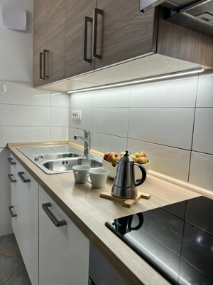 De inchiriat  apartament cu o camera  in zona Elisabetin - imagine 3