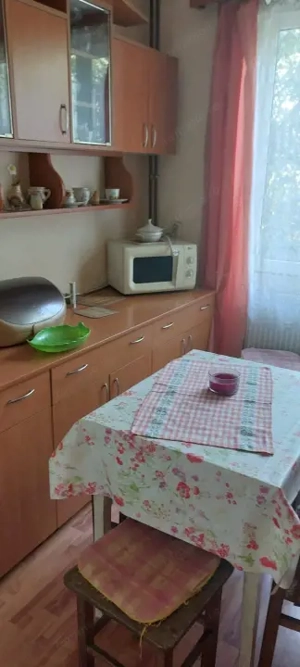 Casa unifamiliala de vanzare zona linistita Sighet - imagine 10 Casa unifamiliala de vanzare zona linistita Sighet - imagine 10