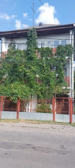 Casa unifamiliala de vanzare zona linistita Sighet - imagine 2 Casa unifamiliala de vanzare zona linistita Sighet - imagine 2