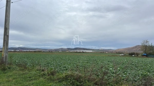 Teren 10 000 Mp Deschidere E60, Zona Aeroport/Autostrada, Ungheni - imagine 3