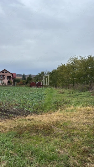 Teren 10 000 Mp Deschidere E60, Zona Aeroport/Autostrada, Ungheni - imagine 6