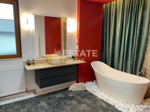 Casa de inchiriat Remetea Mare - imagine 16