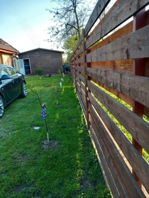 Casă în Plumbuita, tamadau mare, Călărași  - imagine 5