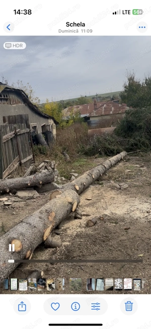 Vind bușteni de brad