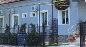 De vanzare pensiune Lacu Sarat