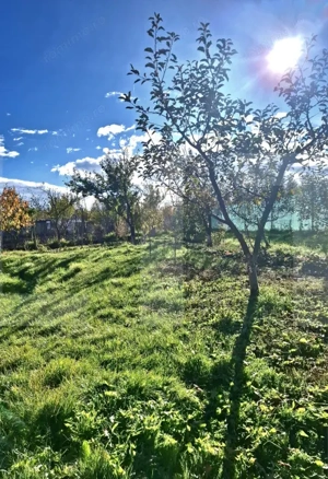 Casă bătrânească cu teren generos, în satul Mănăstireni – liniște și natură - imagine 5