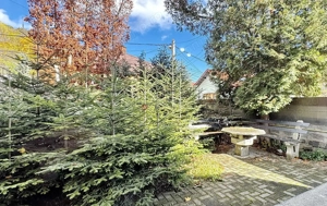 Zona Ultracentrala | Destinatie Comeriala sau Rezidentiala - imagine 2