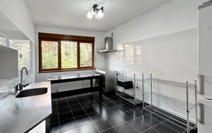 Zona Ultracentrala | Destinatie Comeriala sau Rezidentiala - imagine 13