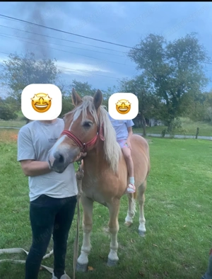 Manz tânăr si cuminte 