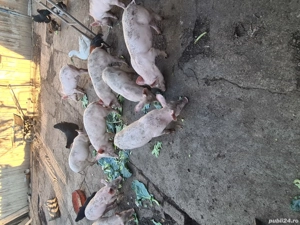 De vanzare. - imagine 3