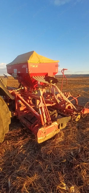 Semanatoare paioase Pinta 300 - imagine 4