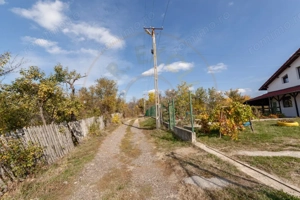 0% COMISION!! CASA PARTER + MANSARDA+ 2788 mp teren -RACHITELE DE JOS  - imagine 4