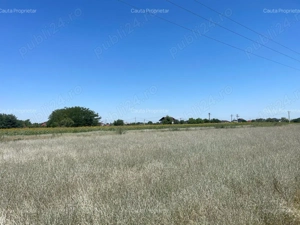 1224 m2 la doar 20 km de Bucuresti  - imagine 4 1224 m2 la doar 20 km de Bucuresti  - imagine 4