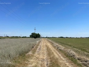 1224 m2 la doar 20 km de Bucuresti  - imagine 3 1224 m2 la doar 20 km de Bucuresti  - imagine 3