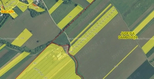 1224 m2 la doar 20 km de Bucuresti  - imagine 2 1224 m2 la doar 20 km de Bucuresti  - imagine 2