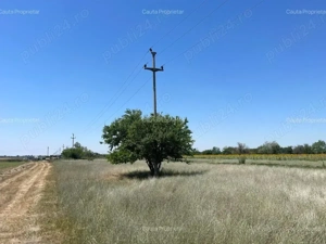 1224 m2 la doar 20 km de Bucuresti