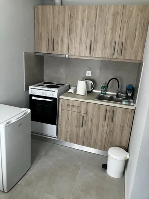 apartament o camera de inchiriat in zona Aradului - imagine 4