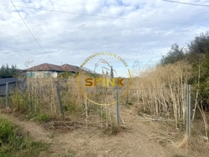 Teren 3905 mp Manasia, pozitie la drum judetean  - imagine 2