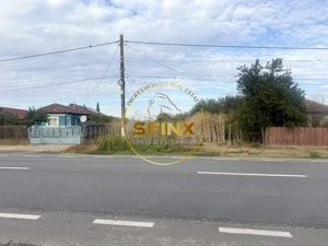 Teren 3905 mp Manasia - poziție la drum judetean