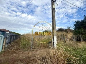 Teren 3905 mp Manasia, pozitie la drum judetean  - imagine 4