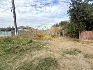 Teren 3905 mp Manasia, pozitie la drum judetean  - imagine 6