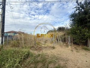 Teren 3905 mp Manasia, pozitie la drum judetean  - imagine 5