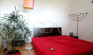 Garsoiera Drumul Taberei - imagine 3