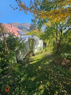 Teren 650 m   ultracentral Nehoiu - perfect pentru casa - imagine 4