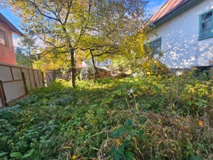 Teren 650 m   ultracentral Nehoiu - perfect pentru casa - imagine 6