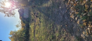 Casă De Vânzare!!! - imagine 4