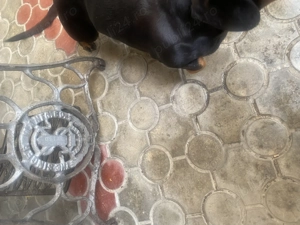 Masina de cusut ,,SINGER'' - imagine 3