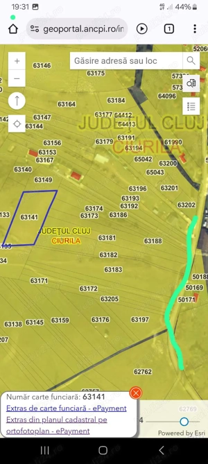 Teren extravilan în Ciurila 5000 mp cu CF - imagine 2