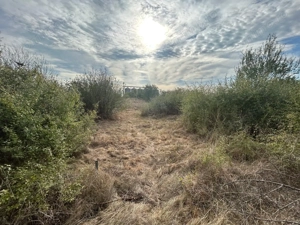 COMISION 0 | Teren intravilan | 945mp | Sacalaz Vest - imagine 3