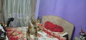 COMISION 0 | Apartament 3 Camere | Et. 2 | Izolat | Centrala | Sagului - imagine 7