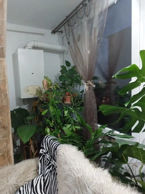 COMISION 0 | Apartament 3 Camere | Et. 2 | Izolat | Centrala | Sagului - imagine 3