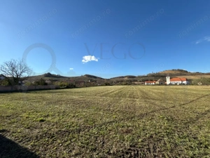 Teren intravilan de vânzare în Alma jud. Sibiu – 7.342 mp - imagine 2