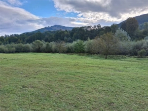 Teren intravilan 6000 mp, Pangarati, cu iesire la raul Bistrita - imagine 4