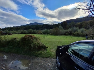 Teren intravilan 6000 mp, Pangarati, cu iesire la raul Bistrita - imagine 6