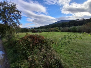 Teren intravilan 6000 mp, Pangarati, cu iesire la raul Bistrita - imagine 5