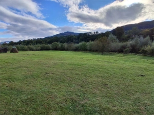 Teren intravilan 6000 mp, Pangarati, cu iesire la raul Bistrita - imagine 3