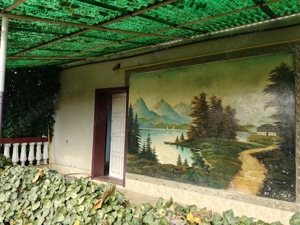 Vând casă în Zimandu Nou - imagine 7