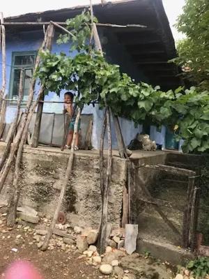 vanzare casa cu teren  - imagine 4