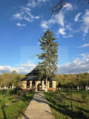 Reședință exclusivistă cu deschidere la Lacul Scroviștea - imagine 19